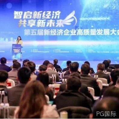 PG国际</a>荣登“2024中国新经济企业TOP500”